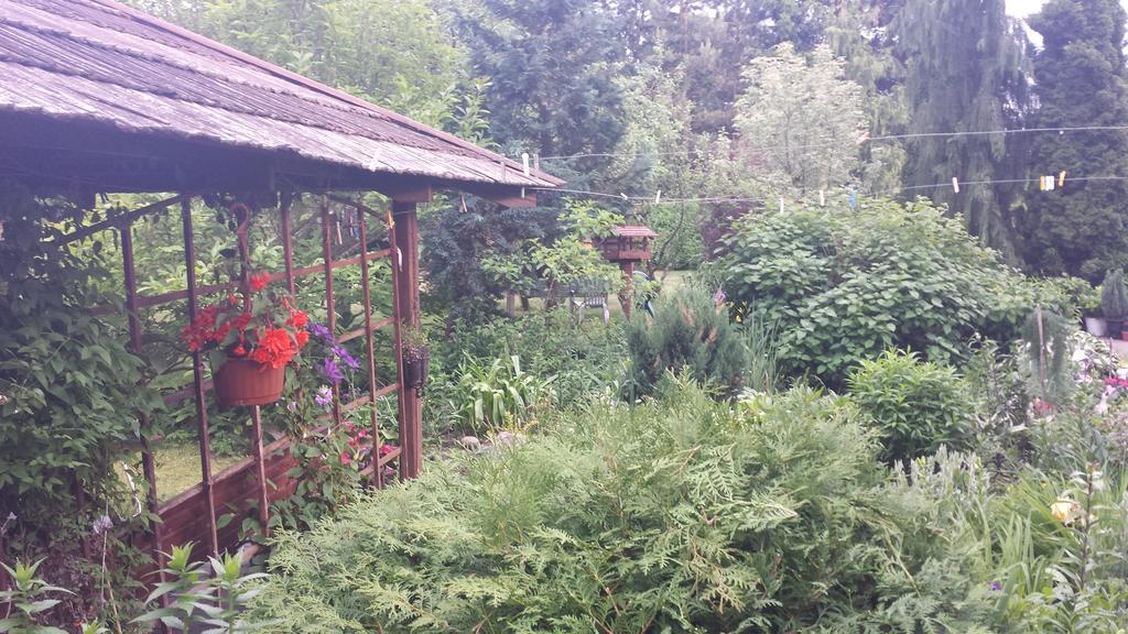 Kwiatowa Zagroda Białowieża Εξωτερικό φωτογραφία