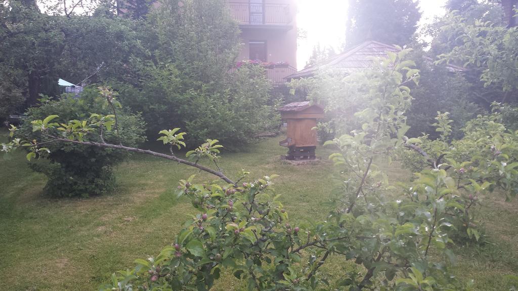 Kwiatowa Zagroda Białowieża Εξωτερικό φωτογραφία