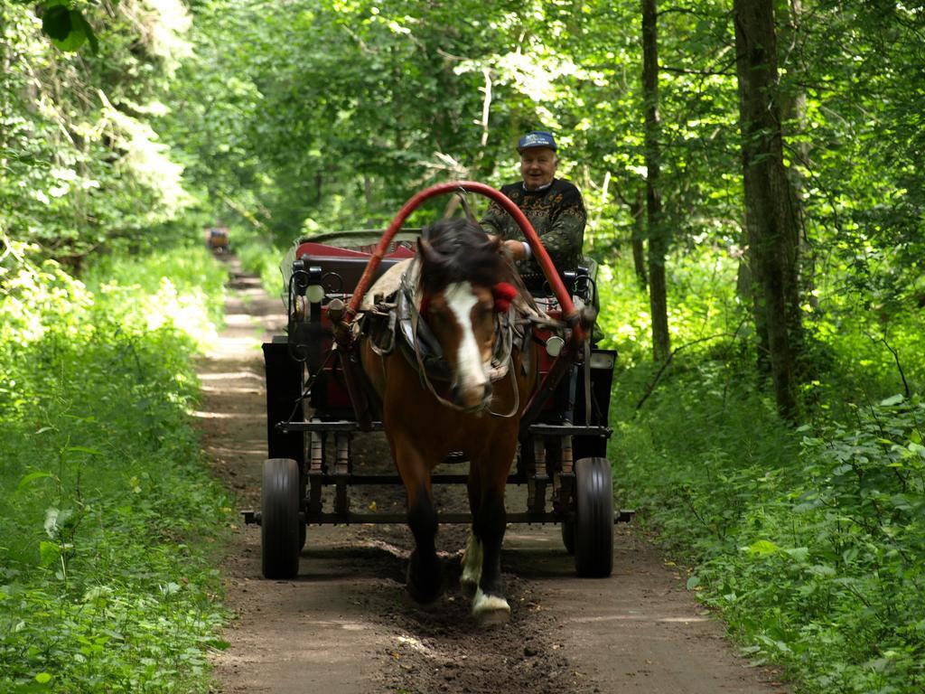 Kwiatowa Zagroda Białowieża Εξωτερικό φωτογραφία