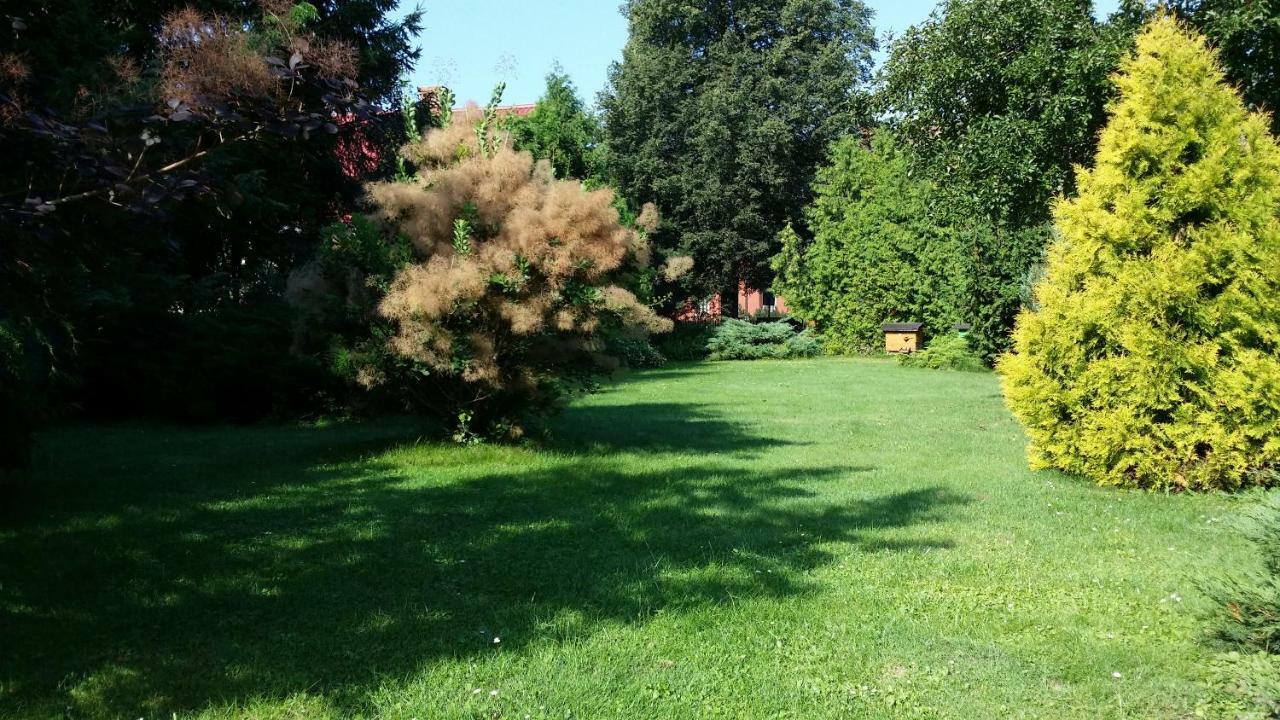 Kwiatowa Zagroda Białowieża Εξωτερικό φωτογραφία